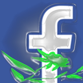 Kövessen minket a Facebookon! Kövessen minket a Facebookon!